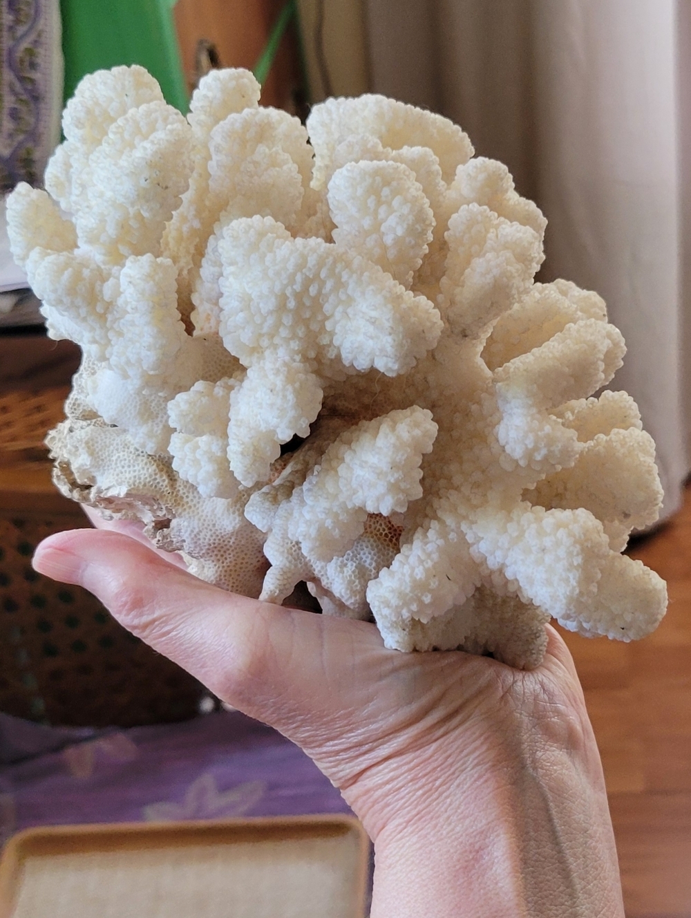 Vintage Natural White Ocean Coral Specimen Large - Picture 3 of 9